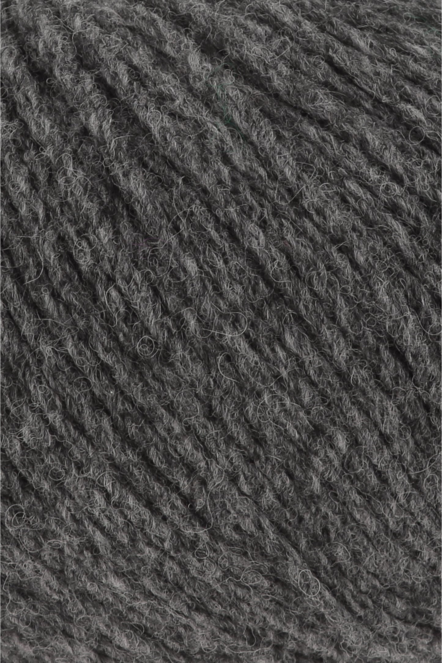 Yak