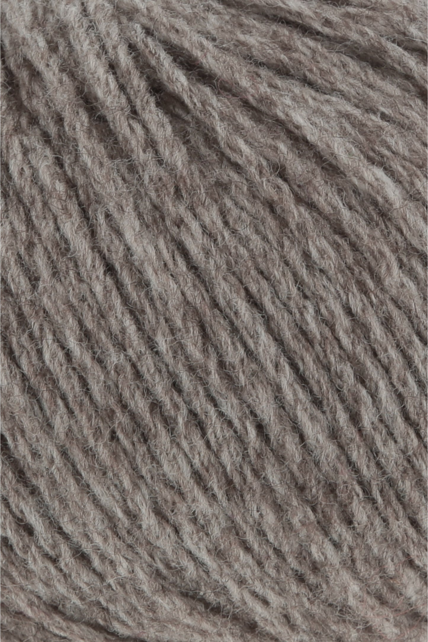 Yak
