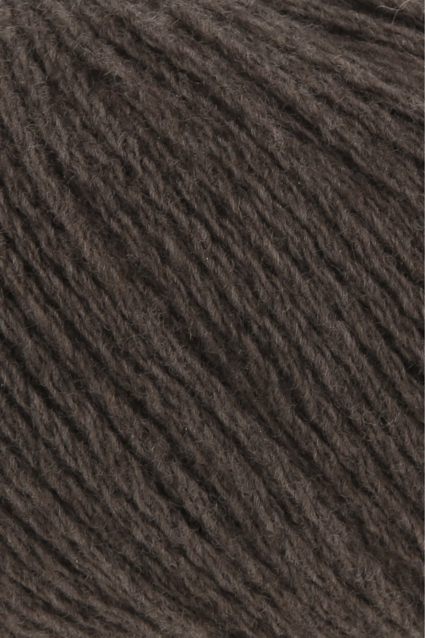 Yak