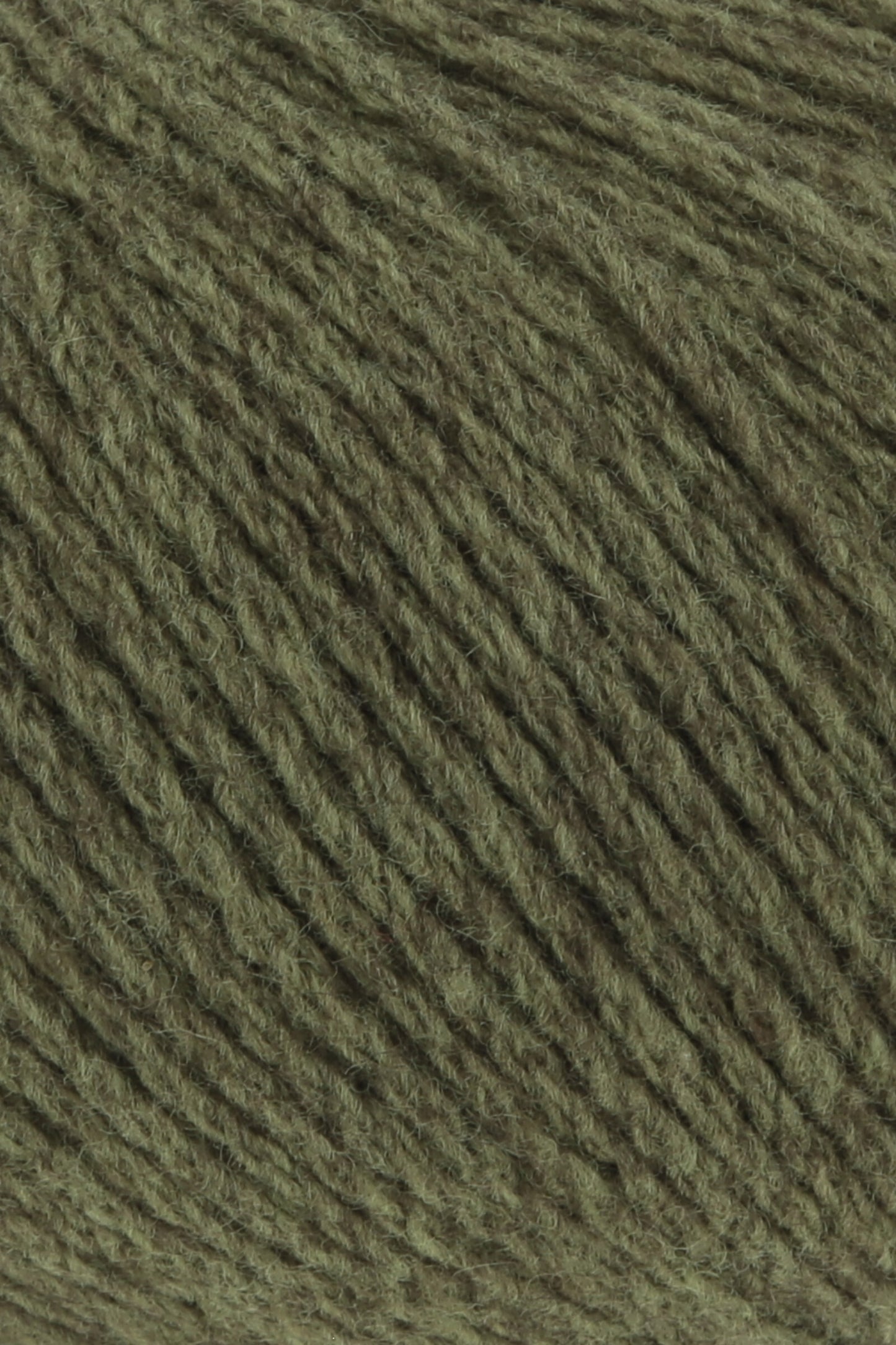 Yak