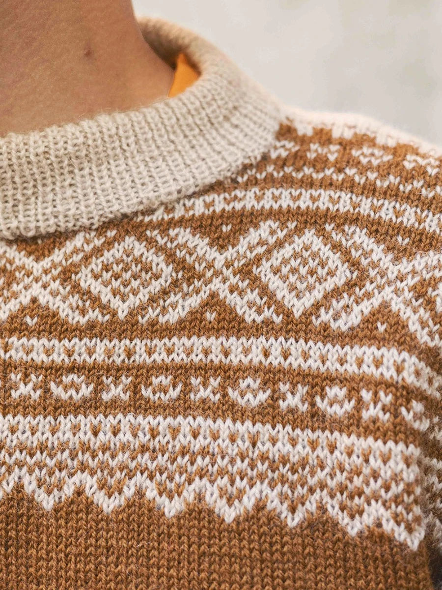 Marius Men's Sweater / Norwegian Icons Adult 2510 / No. 4 / Single Pattern by Sandnes Garn